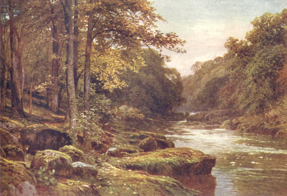 YORKSHIRE DALES. The Wharfe, The Strid 1908 old antique vintage print picture